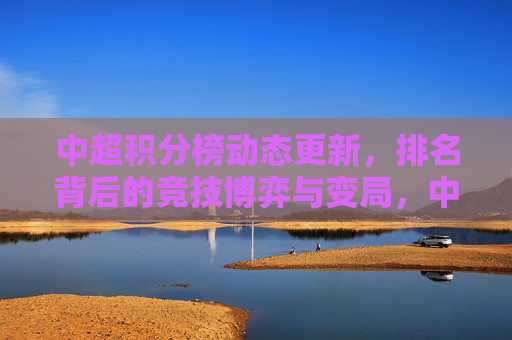 中超积分榜动态更新，排名背后的竞技博弈与变局，中超积分榜动态更新，排名背后的竞技博弈与变局
