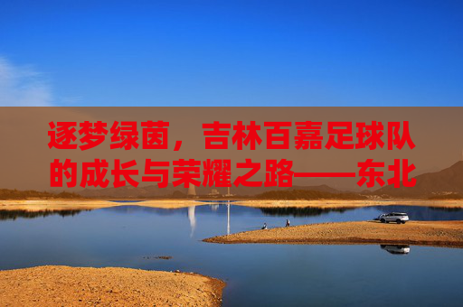 逐梦绿茵,吉林百嘉足球队的成长与荣耀之路——东北足球的璀璨星火,逐梦绿茵,吉林百嘉足球队的成长与荣耀之路——东北足球的璀璨星火