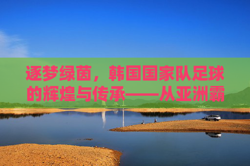 逐梦绿茵，韩国国家队足球的辉煌与传承——从亚洲霸主到世界强队的不懈追求，逐梦绿茵，韩国国家队足球的辉煌与传承——从亚洲霸主到世界强队的不懈追求