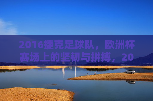 2016捷克足球队,欧洲杯赛场上的坚韧与拼搏,2016捷克足球队,欧洲杯赛场上的坚韧与拼搏