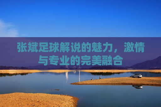 张斌足球解说的魅力,激情与专业的完美融合