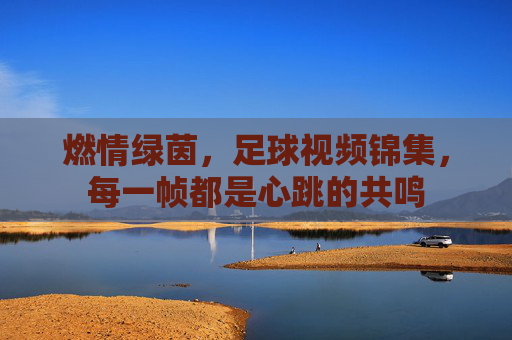 燃情绿茵,足球视频锦集,每一帧都是心跳的共鸣