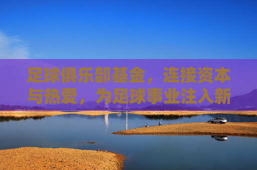 足球俱乐部基金,连接资本与热爱,为足球事业注入新动力