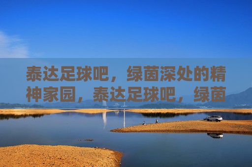 泰达足球吧,绿茵深处的精神家园,泰达足球吧,绿茵深处的精神家园