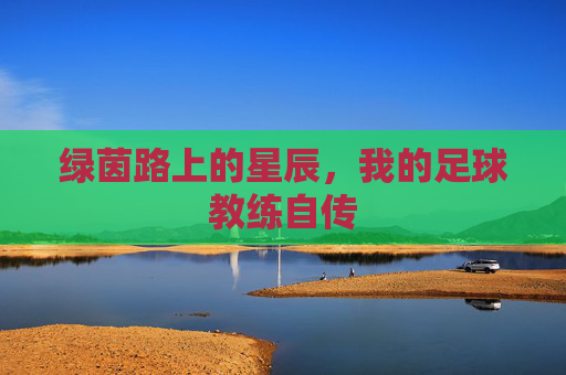 绿茵路上的星辰,我的足球教练自传