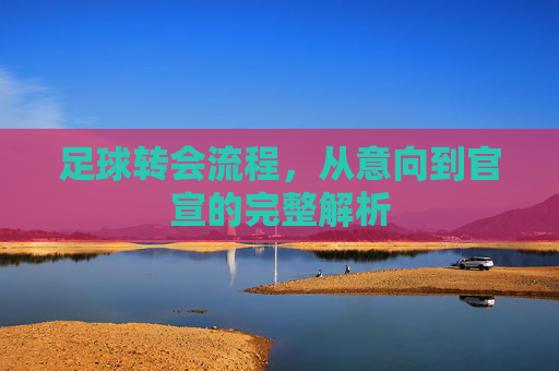足球转会流程，从意向到官宣的完整解析