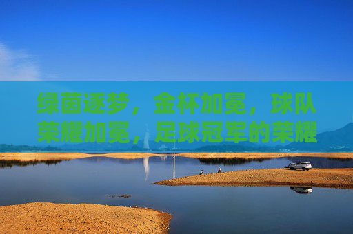 绿茵逐梦,金杯加冕,球队荣耀加冕,足球冠军的荣耀征程