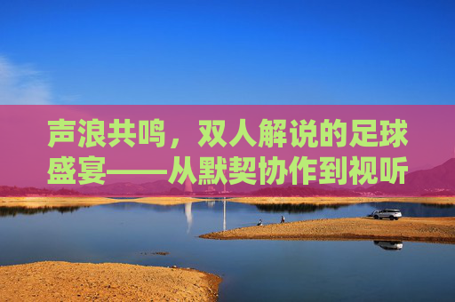 声浪共鸣，双人解说的足球盛宴——从默契协作到视听沉浸，声浪共鸣，双人解说的足球盛宴——从默契协作到视听沉浸