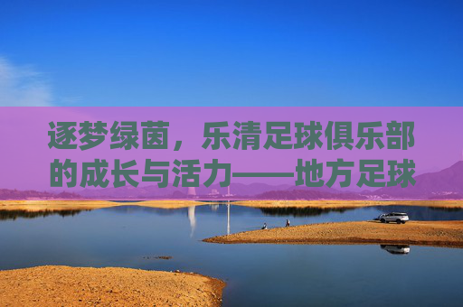 逐梦绿茵,乐清足球俱乐部的成长与活力——地方足球力量的崛起样本