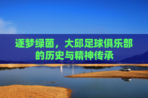逐梦绿茵,大邱足球俱乐部的历史与精神传承