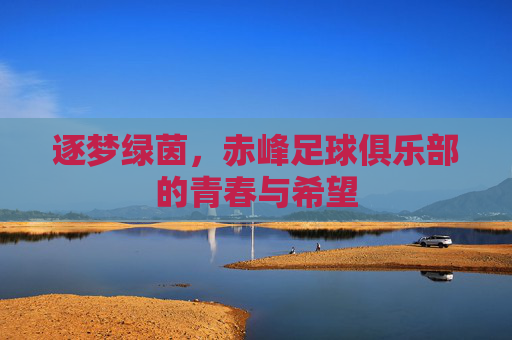 逐梦绿茵,赤峰足球俱乐部的青春与希望