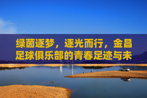 绿茵逐梦,逐光而行,金昌足球俱乐部的青春足迹与未来展望