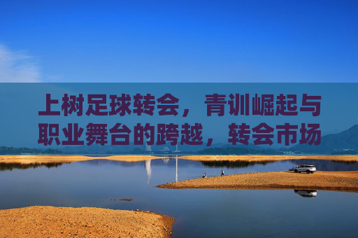 上树足球转会，青训崛起与职业舞台的跨越，转会市场的机遇与挑战，上树足球转会，青训崛起与职业舞台跨越的机遇与挑战