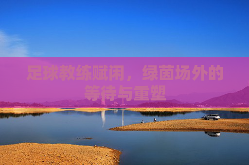 足球教练赋闲,绿茵场外的等待与重塑