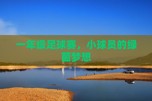 一年级足球赛，小球员的绿茵梦想