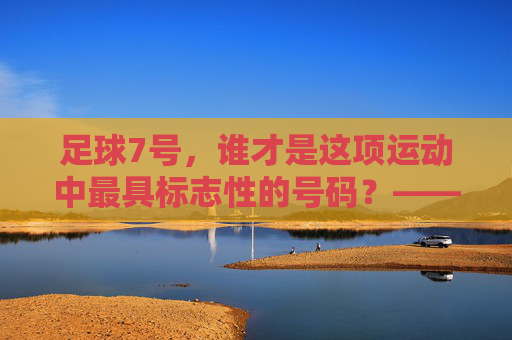 足球7号,谁才是这项运动中最具标志性的号码?——揭秘7号背后的传奇运动员
