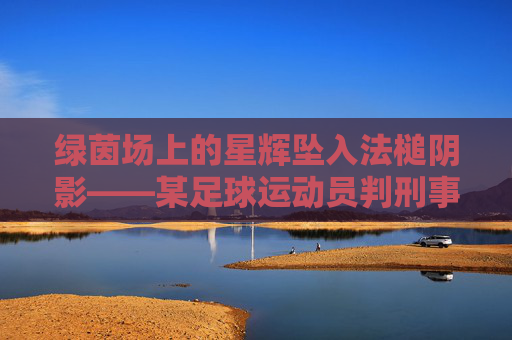 绿茵场上的星辉坠入法槌阴影——某足球运动员判刑事件引发的思考