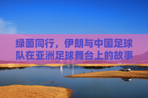 绿茵同行，伊朗与中国足球队在亚洲足球舞台上的故事与共鸣