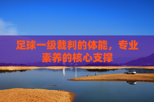 足球一级裁判的体能,专业素养的核心支撑
