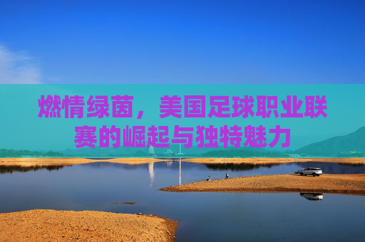 燃情绿茵,美国足球职业联赛的崛起与独特魅力