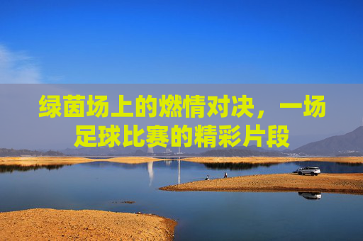 绿茵场上的燃情对决,一场足球比赛的精彩片段