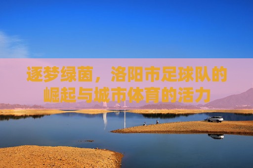 逐梦绿茵,洛阳市足球队的崛起与城市体育的活力
