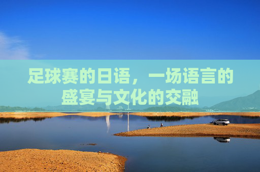 足球赛的日语,一场语言的盛宴与文化的交融