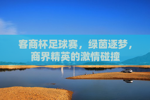 客商杯足球赛,绿茵逐梦,商界精英的激情碰撞