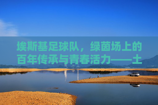 埃斯基足球队，绿茵场上的百年传承与青春活力——土耳其中部城市的精神图腾