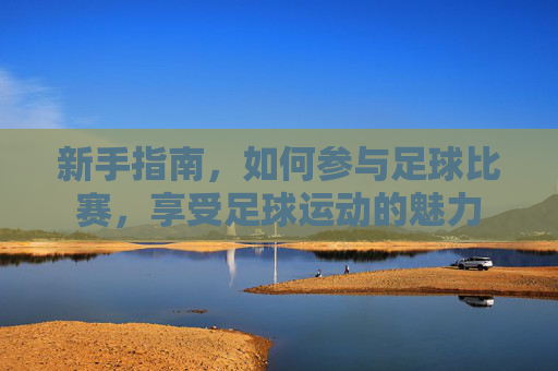 新手指南,如何参与足球比赛,享受足球运动的魅力