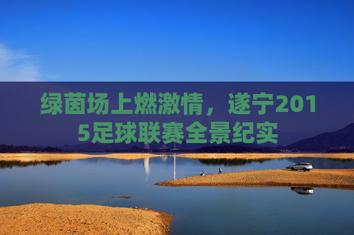 绿茵场上燃激情，遂宁2015足球联赛全景纪实