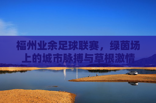 福州业余足球联赛,绿茵场上的城市脉搏与草根激情