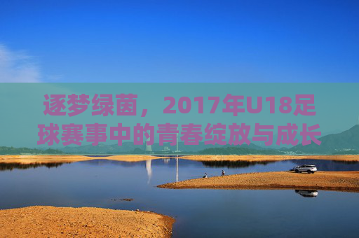 逐梦绿茵,2017年U18足球赛事中的青春绽放与成长印记,逐梦绿茵,2017年U18足球赛事中的青春绽放与成长印记