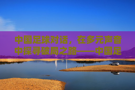 中国足球对话,在多元声音中探寻破局之路——中国足球发展中的关键对话实践与未来方向