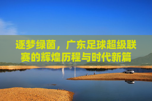 逐梦绿茵,广东足球超级联赛的辉煌历程与时代新篇