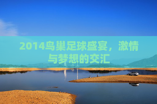 2014鸟巢足球盛宴,激情与梦想的交汇