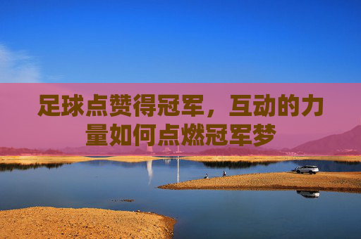 足球点赞得冠军,互动的力量如何点燃冠军梦