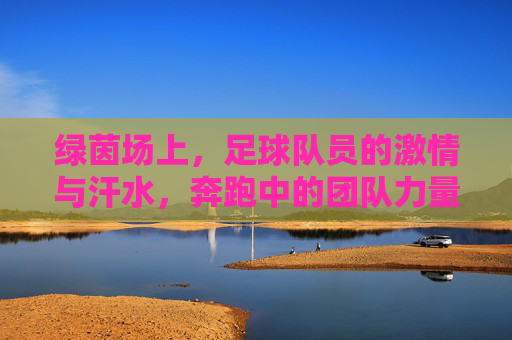绿茵场上，足球队员的激情与汗水，奔跑中的团队力量
