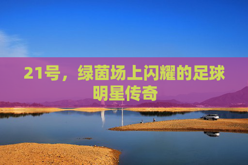 21号，绿茵场上闪耀的足球明星传奇