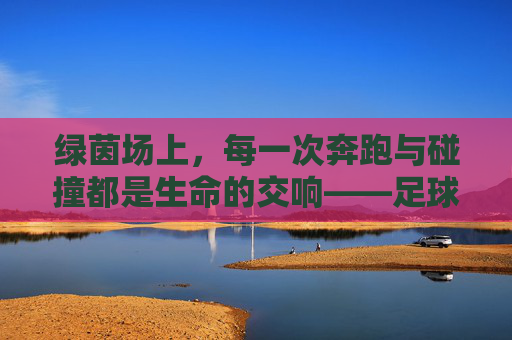 绿茵场上,每一次奔跑与碰撞都是生命的交响——足球赛动作描写,绿茵场上,每一次奔跑与碰撞都是生命的交响——足球赛动作描写