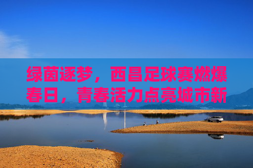 绿茵逐梦，西昌足球赛燃爆春日，青春活力点亮城市新篇章