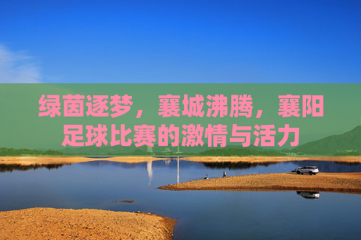 绿茵逐梦，襄城沸腾，襄阳足球比赛的激情与活力