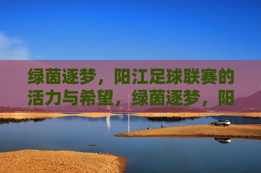 绿茵逐梦，阳江足球联赛的活力与希望，绿茵逐梦，阳江足球联赛的活力与希望