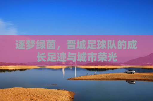 逐梦绿茵,晋城足球队的成长足迹与城市荣光