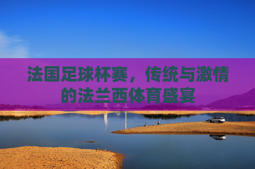 法国足球杯赛,传统与激情的法兰西体育盛宴