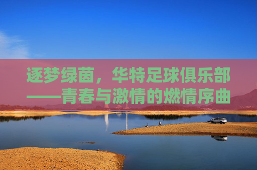 逐梦绿茵,华特足球俱乐部——青春与激情的燃情序曲