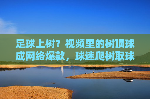 足球上树？视频里的树顶球成网络爆款，球迷爬树取球笑翻网友，足球上树？树顶球成网络爆款，球迷爬树取球笑翻网友