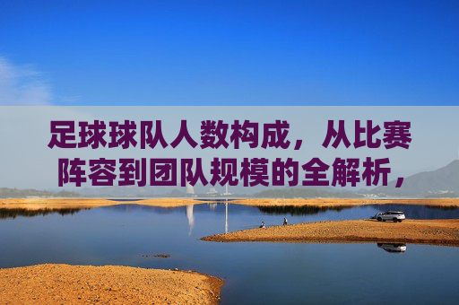 足球球队人数构成，从比赛阵容到团队规模的全解析，足球球队人数构成，从比赛阵容到团队规模的全解析