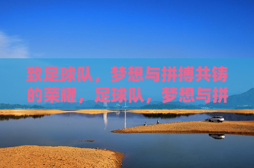 致足球队，梦想与拼搏共铸的荣耀，足球队，梦想与拼搏铸就的荣耀