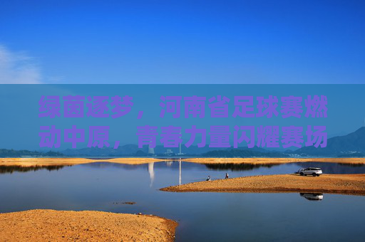 绿茵逐梦，河南省足球赛燃动中原，青春力量闪耀赛场，绿茵逐梦，河南省足球赛燃动中原，青春力量闪耀赛场